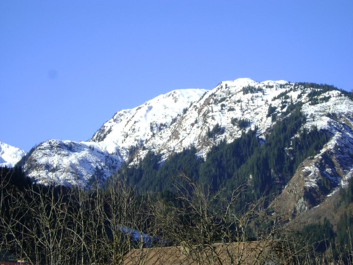 Ferienwohnung Fred Hollersbach im Pinzgau Ngoại thất bức ảnh